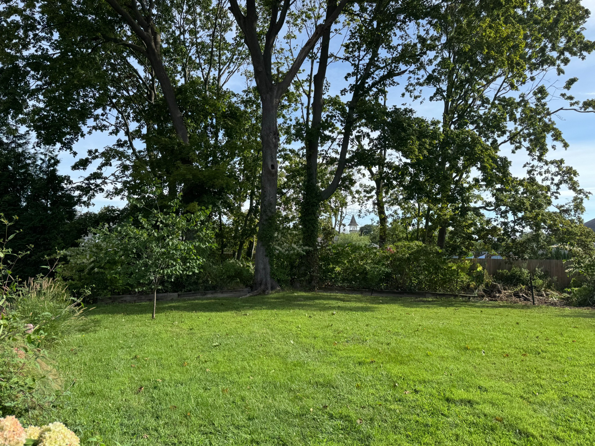 Expansive backyard